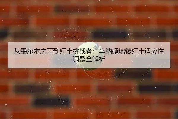 cong-mo-er-ben-zhi-wang-dao-hong-tu-tiao-zhan-zhe-xin-na-ying-di-zhuan-hong-tu-shi-ying-xing-tiao-zheng-quan-jie-xi-2-454.jpg