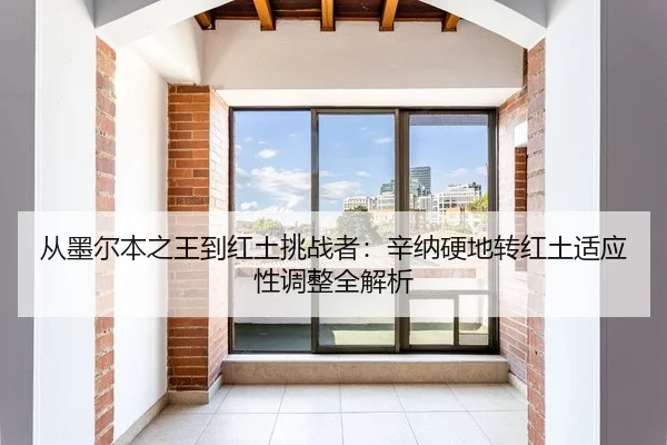 从墨尔本之王到红土挑战者：辛纳硬地转红土适应性调整全解析