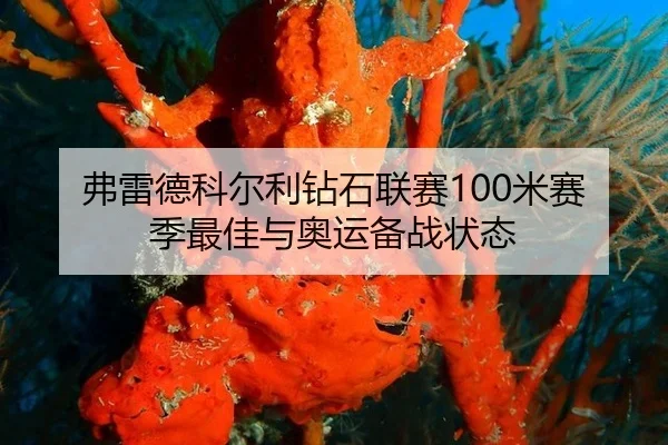 弗雷德科尔利钻石联赛100米赛季最佳与奥运备战状态